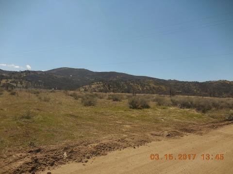 18955 Arosa Road Tehachapi, CA 93561 - Photo 4 of 4 DSCN9976