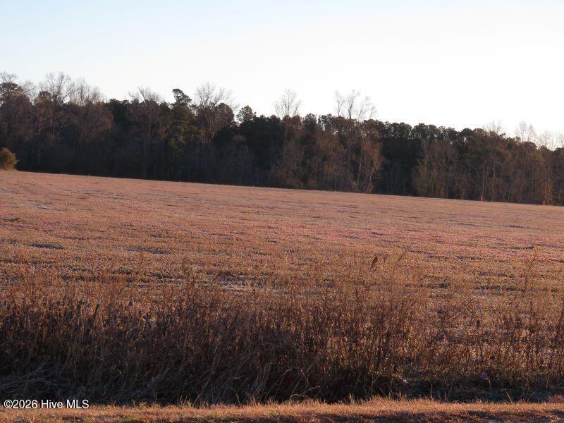 2 East Raynham Road Fairmont, NC 28340 - Photo 4 of 9 IMG_8468