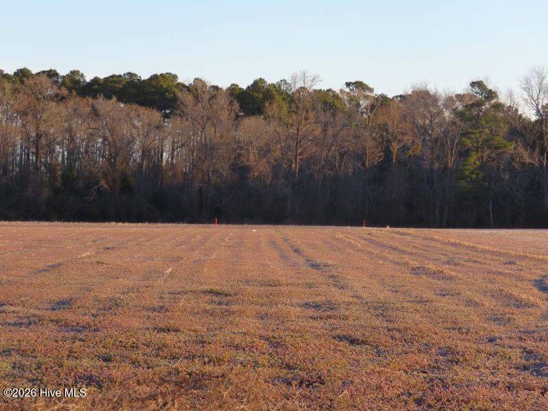 2 East Raynham Road Fairmont, NC 28340 - Photo 6 of 9 IMG_8473