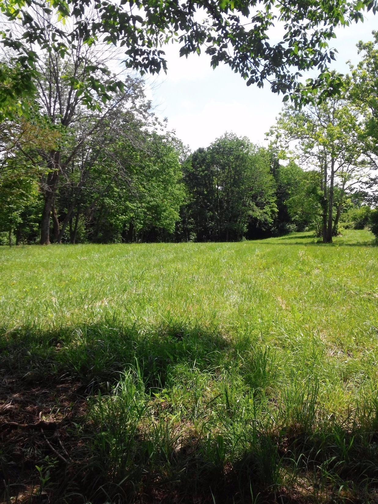 49 Hamilton Springs Road Lancaster, KY 40444 - Photo 7 of 23 Photo 7