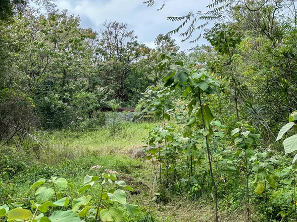$489,000 | 4 Laula Road, Hilo, HI 96720