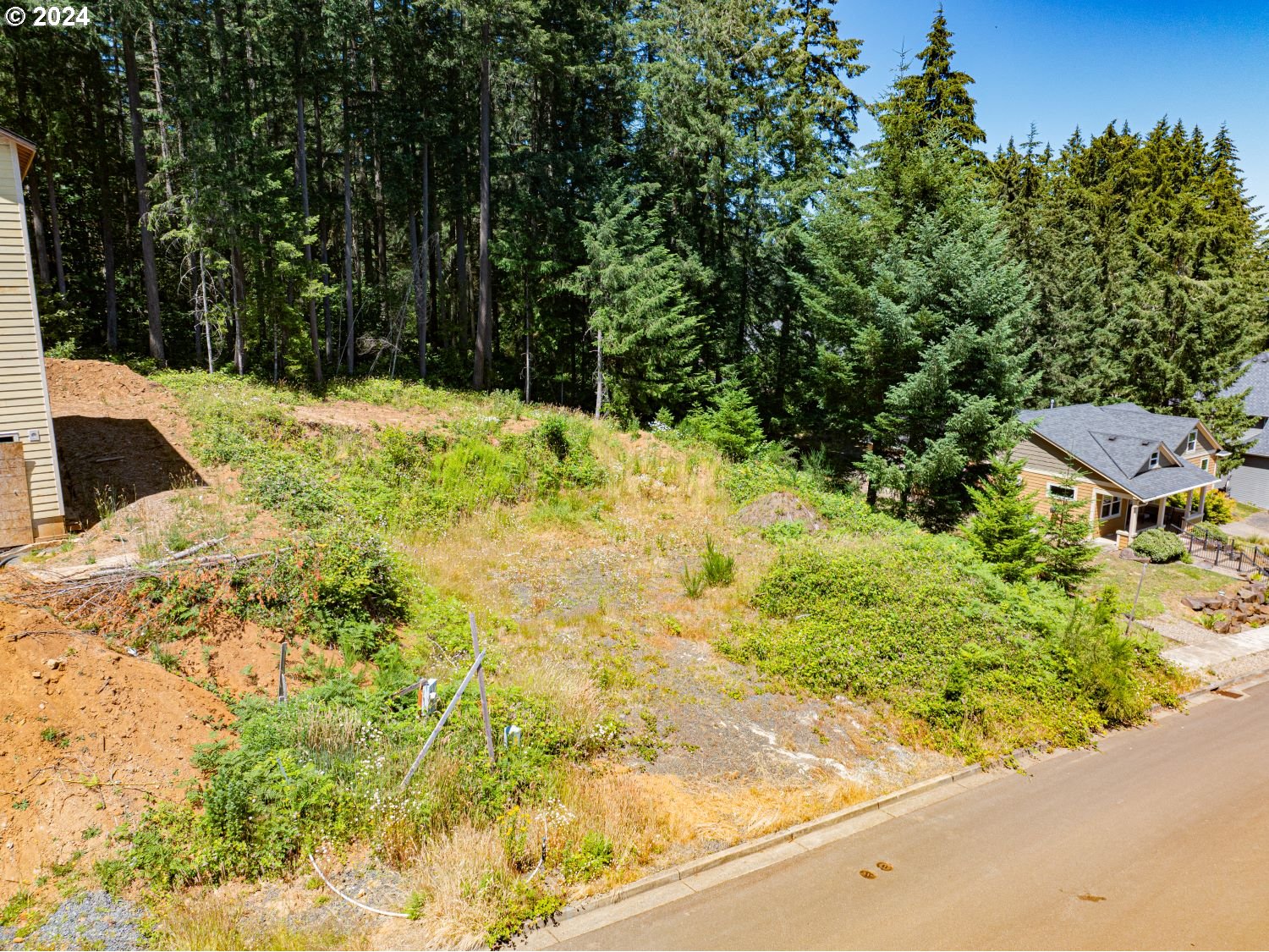 360 Boulder Ridge Drive Sweet Home, OR 97386 - Photo 2 of 7 a view of a yard with plants