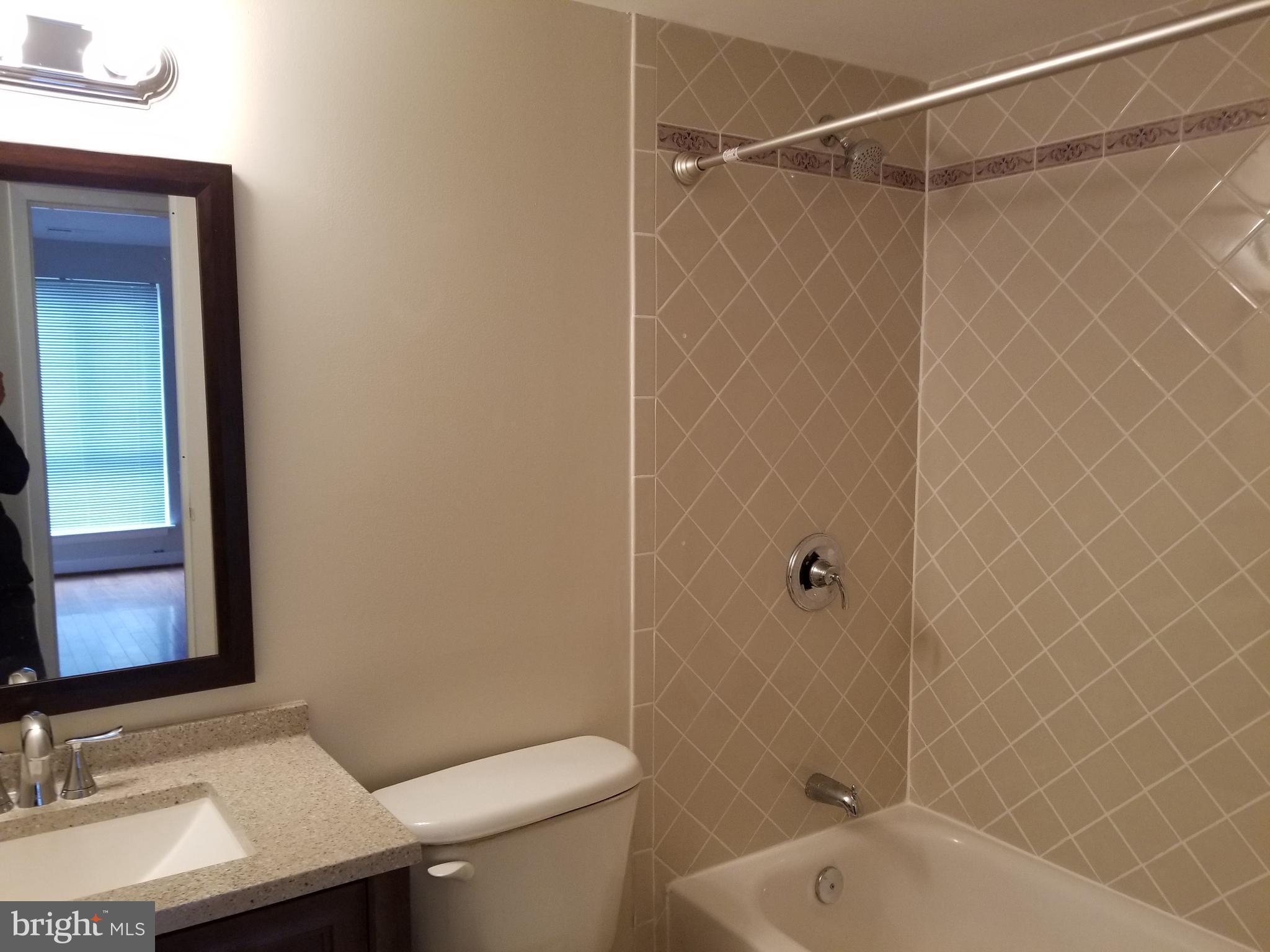 11200 Chestnut Grove Square, Unit 102 Reston, VA 20190 - Photo 17 of 30 Hallway bath