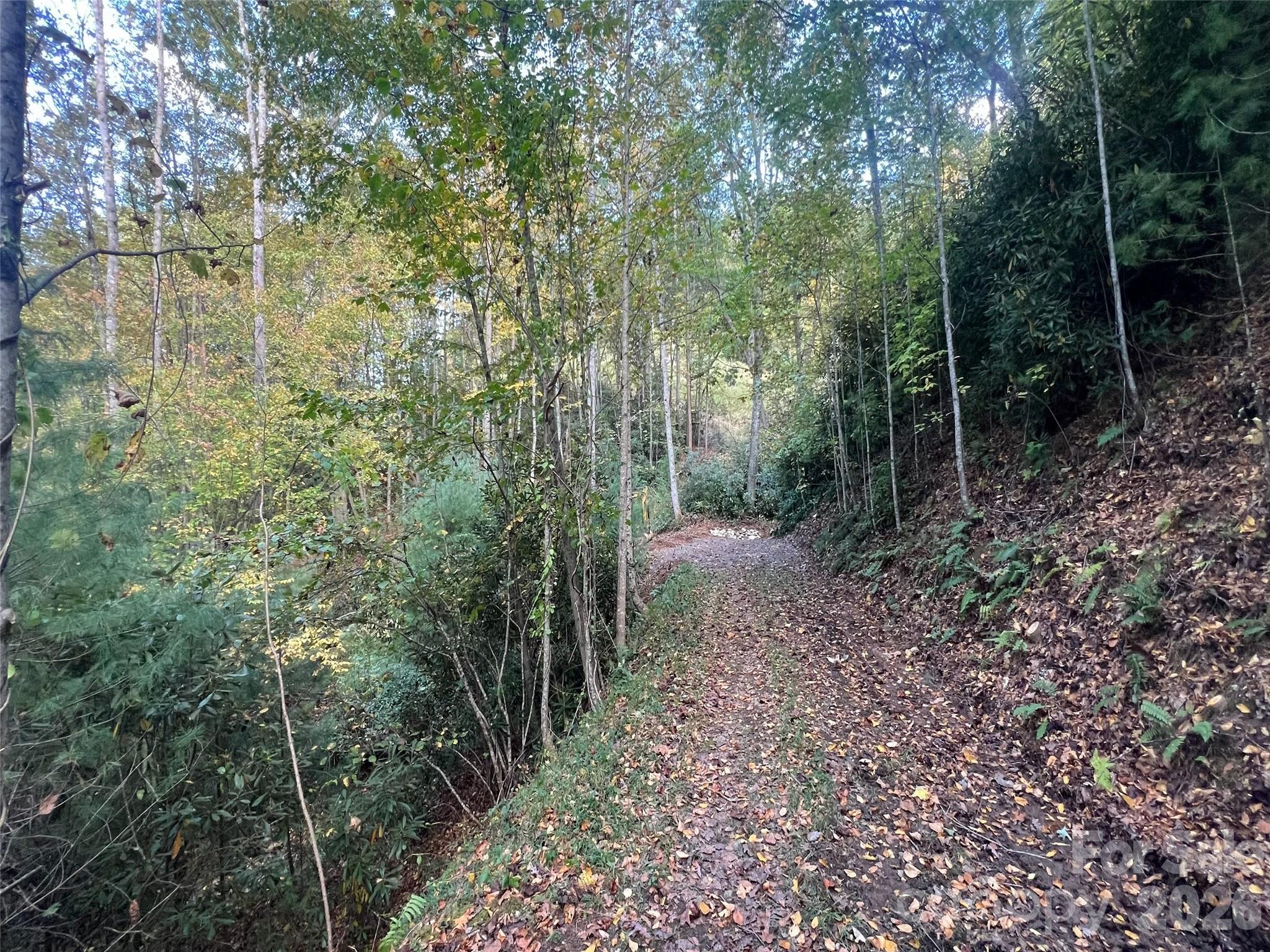 6 Dividing Ridge Trail, Unit 1 Arden, NC 28704 - Photo 2 of 18 a view of a forest with trees