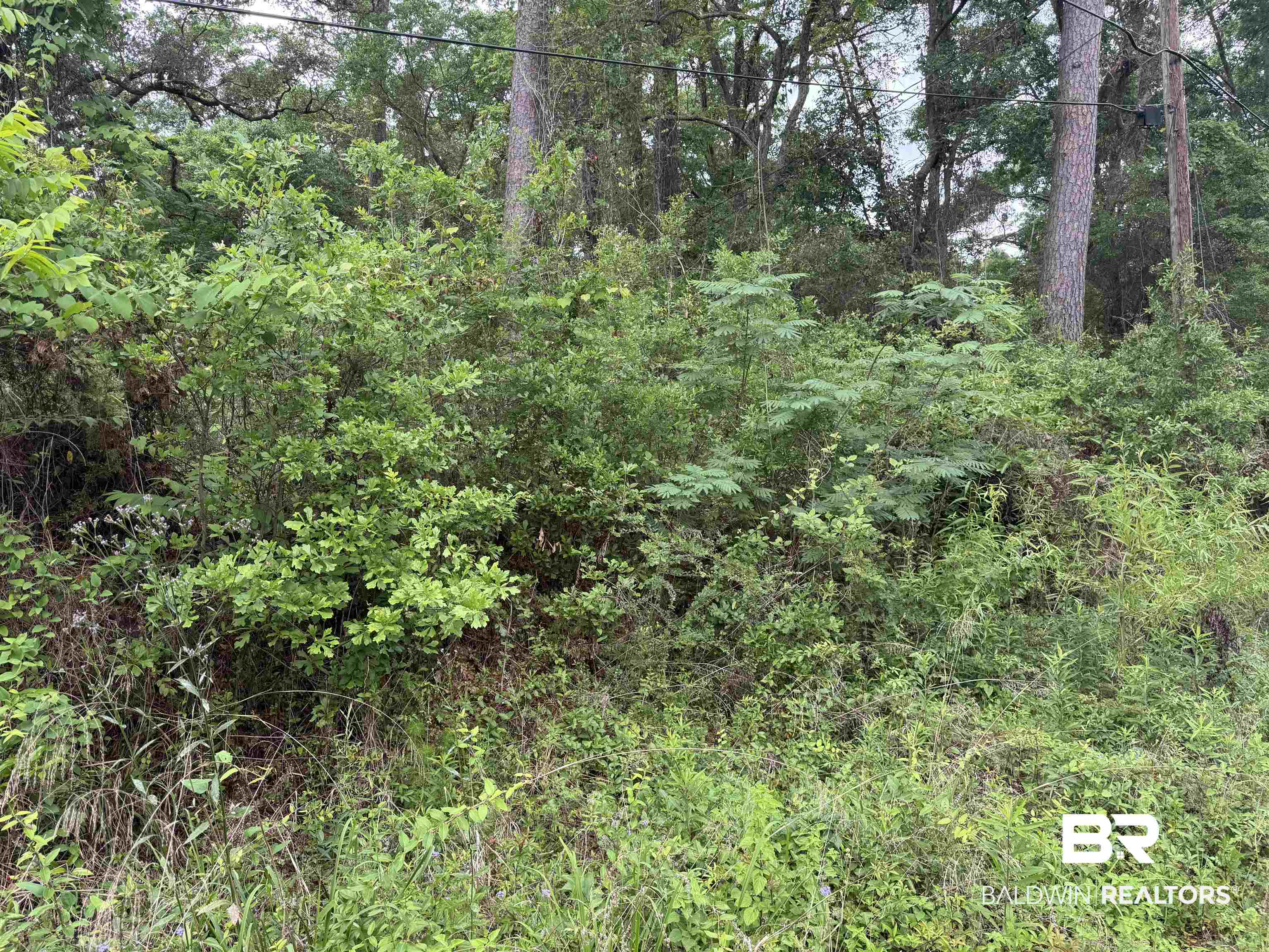 9050 Rice Creek Road Stockton, AL 36579 - Photo 3 of 3