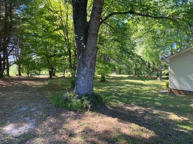 546 Rutledge Ford Road Decherd, TN 37324 - Photo 13 of 26 a view of outdoor space with trees all around