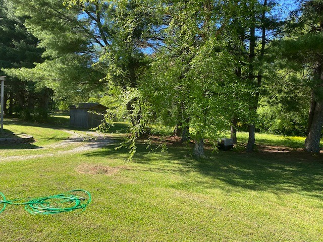 546 Rutledge Ford Road Decherd, TN 37324 - Photo 7 of 26 a view of a yard with a tree
