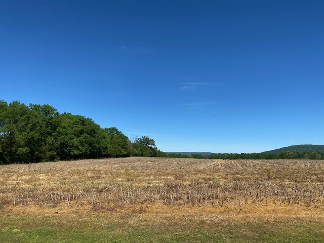 546 Rutledge Ford Road Decherd, TN 37324 - Photo 8 of 26 a view of lake and mountain