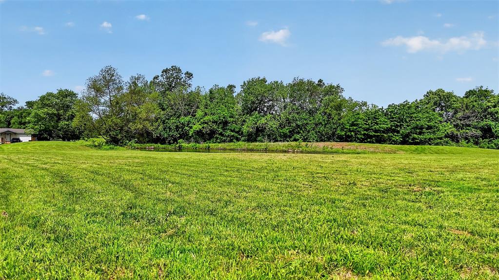 Tbd Pecan Street Ector, TX 75439 - Photo 14 of 18 a view of a big yard with potted plants and large tree