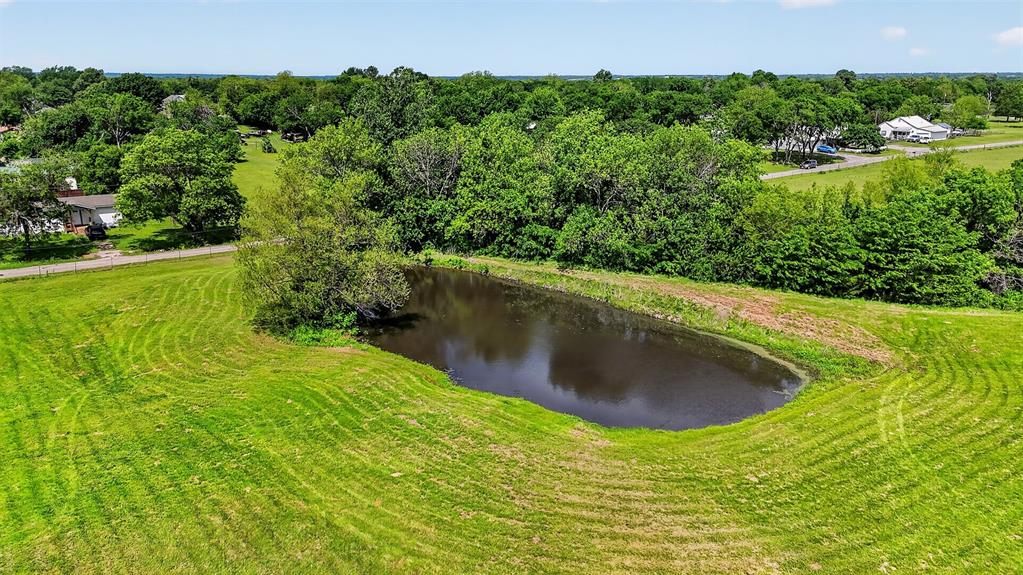 Tbd Pecan Street Ector, TX 75439 - Photo 18 of 18 a view of a garden with a lake