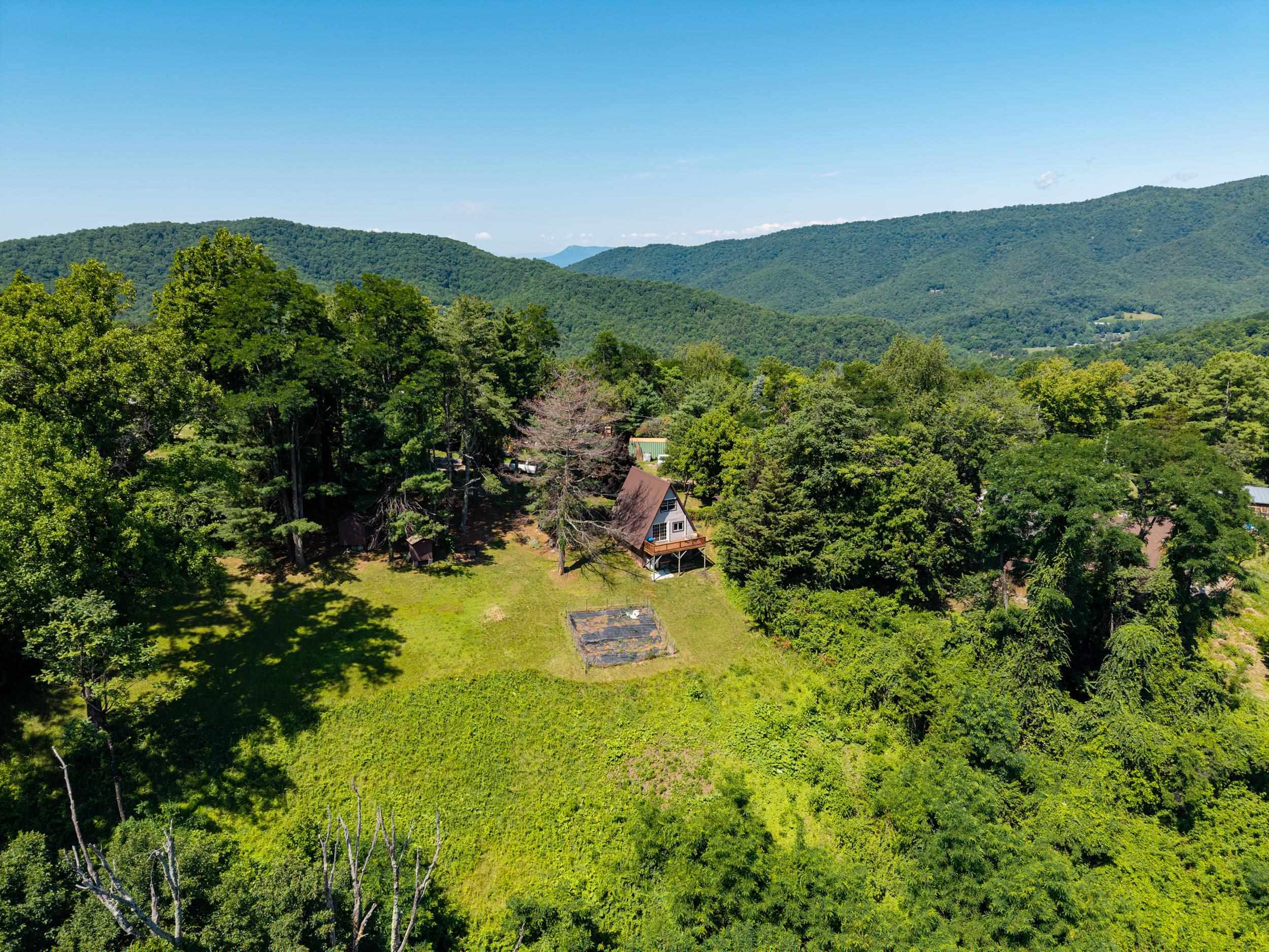1093 Overlook Mountain Road Elkton, VA 22827 - Photo 50 of 63