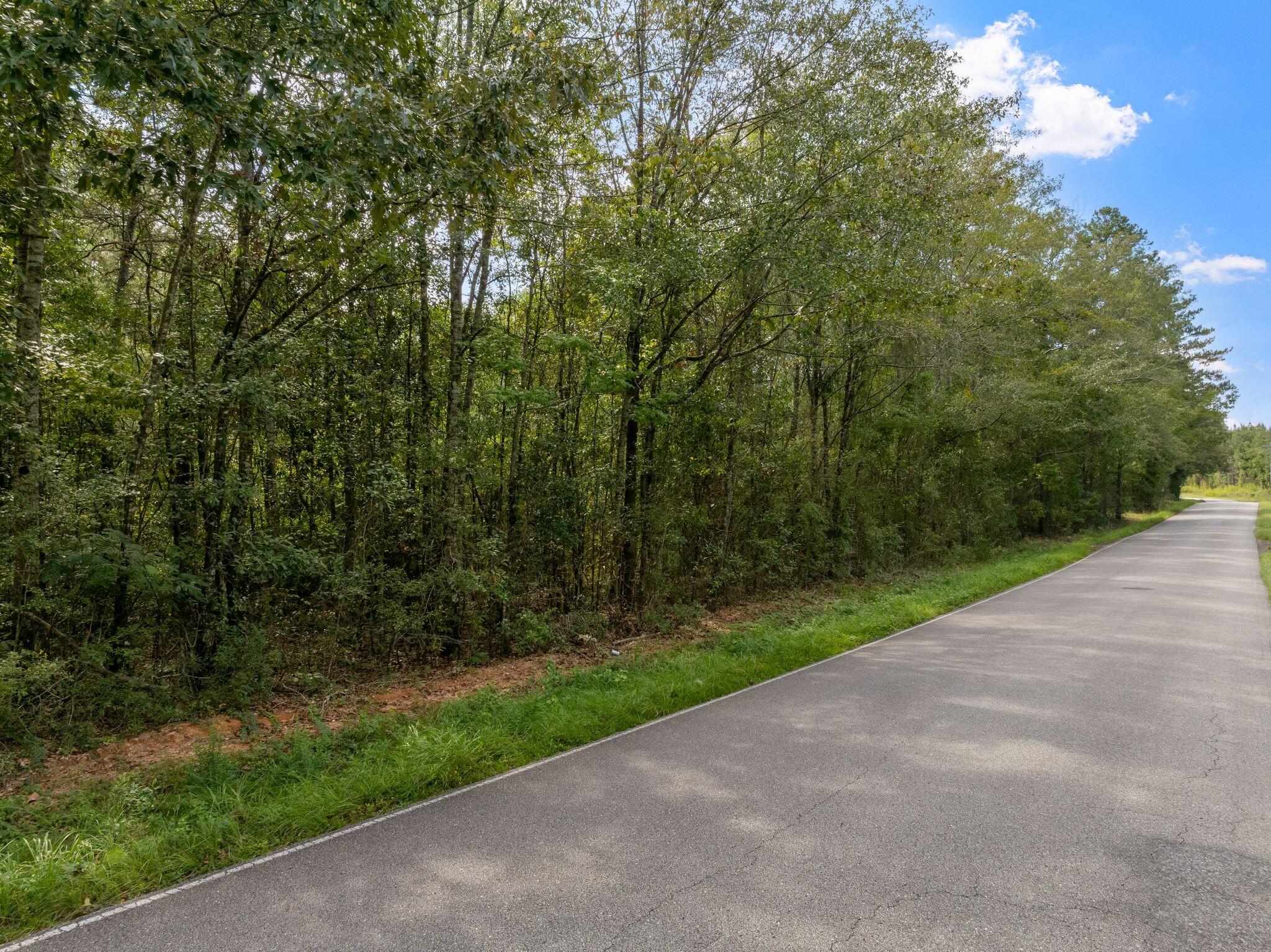0 Davis Road Purvis, MS 39475 - Photo 15 of 21 Gallery Image 15