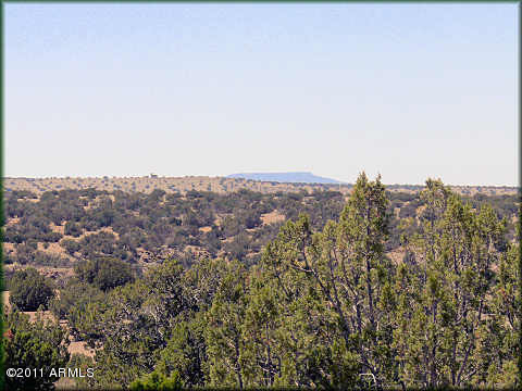 5276 Joken Road Heber, AZ 85928 - Photo 9 of 9 views from living room, potential deck..