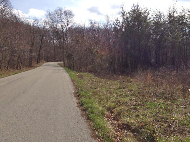 0 Lum Strunk Road Strunk, KY 42649 - Photo 5 of 8 Additional Photo