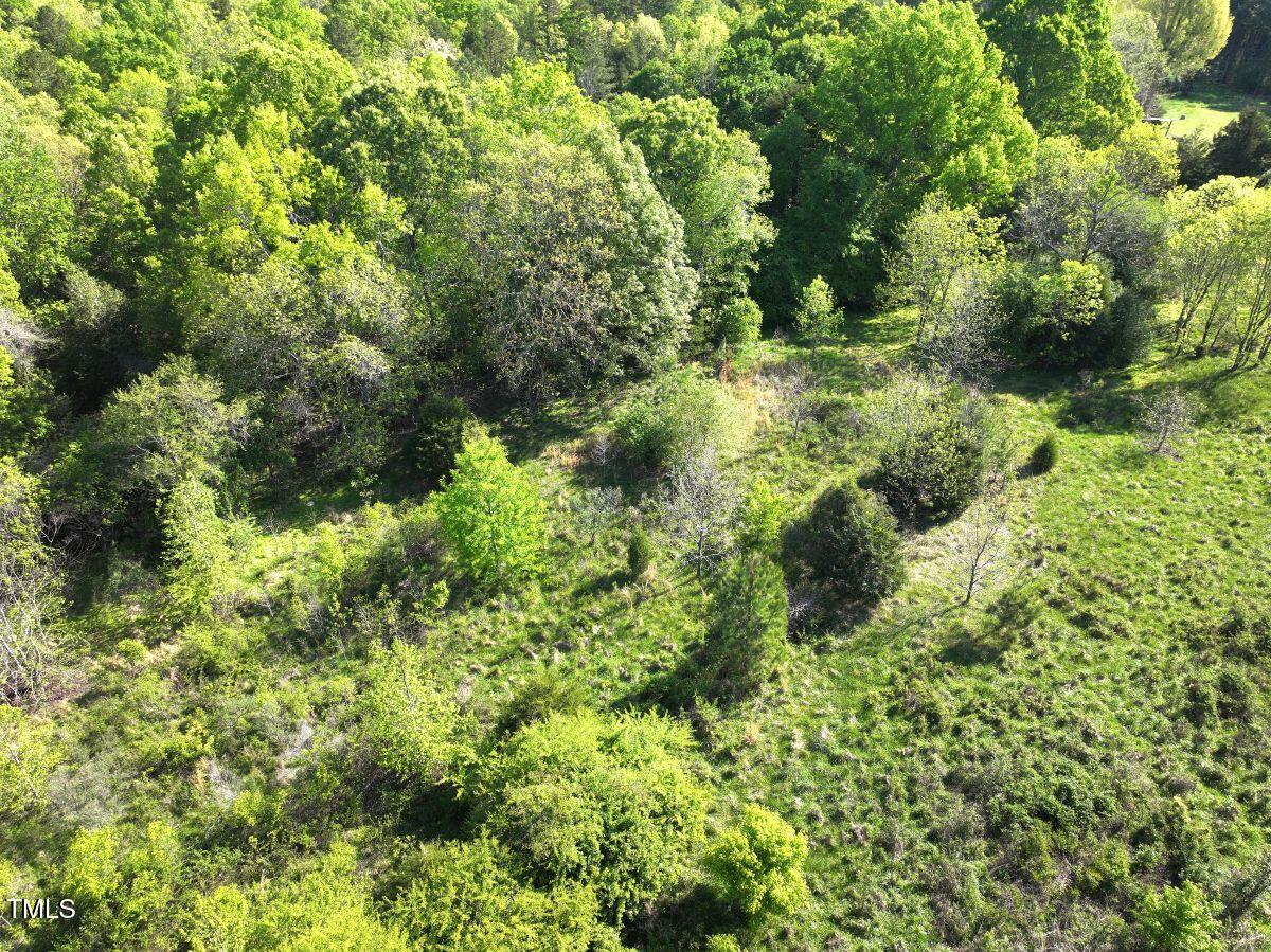 281 Fentress Road Robbins, NC 27325 - Photo 12 of 23 a view of a garden with plants