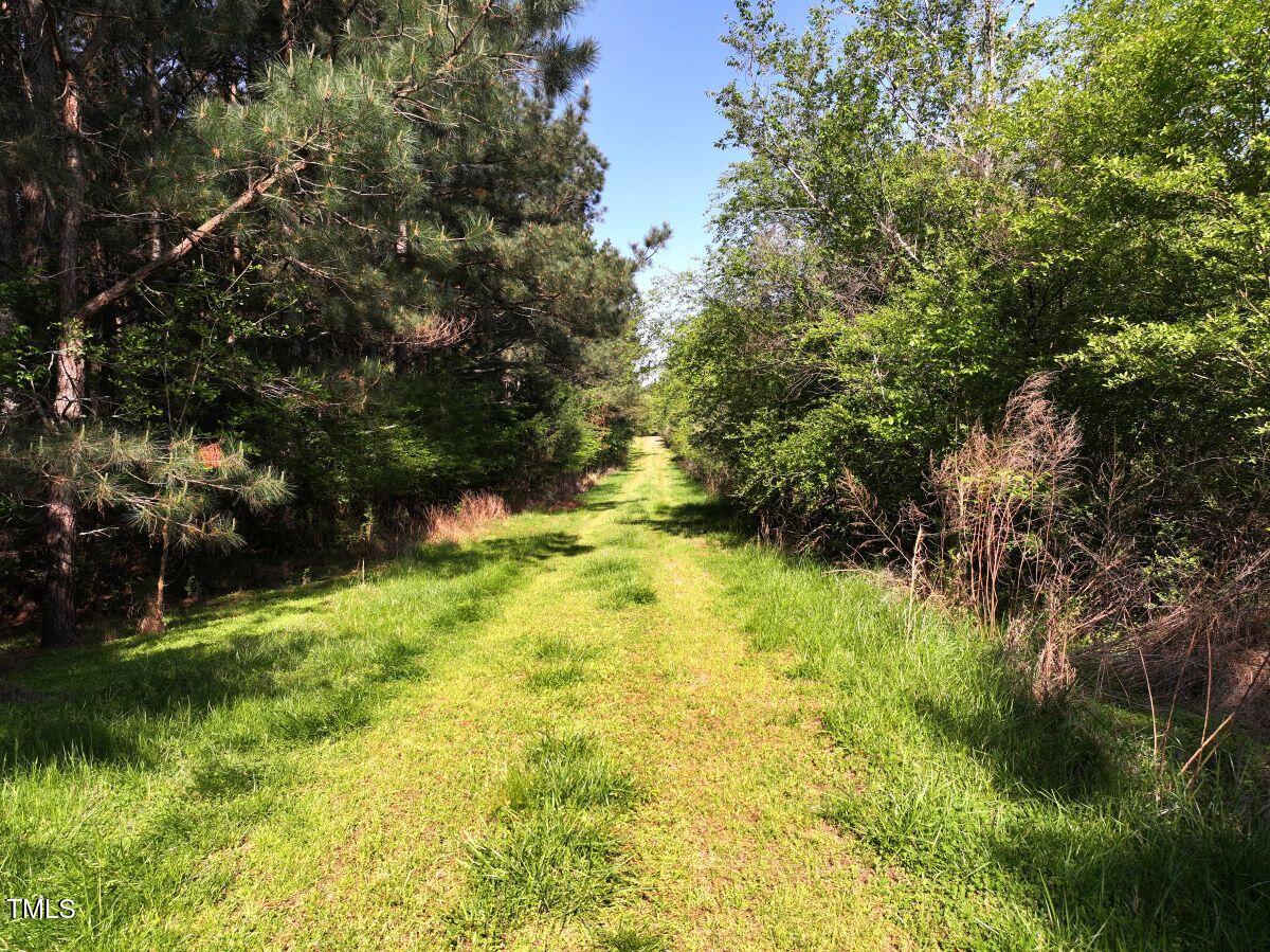281 Fentress Road Robbins, NC 27325 - Photo 14 of 23 a view of yard with green space