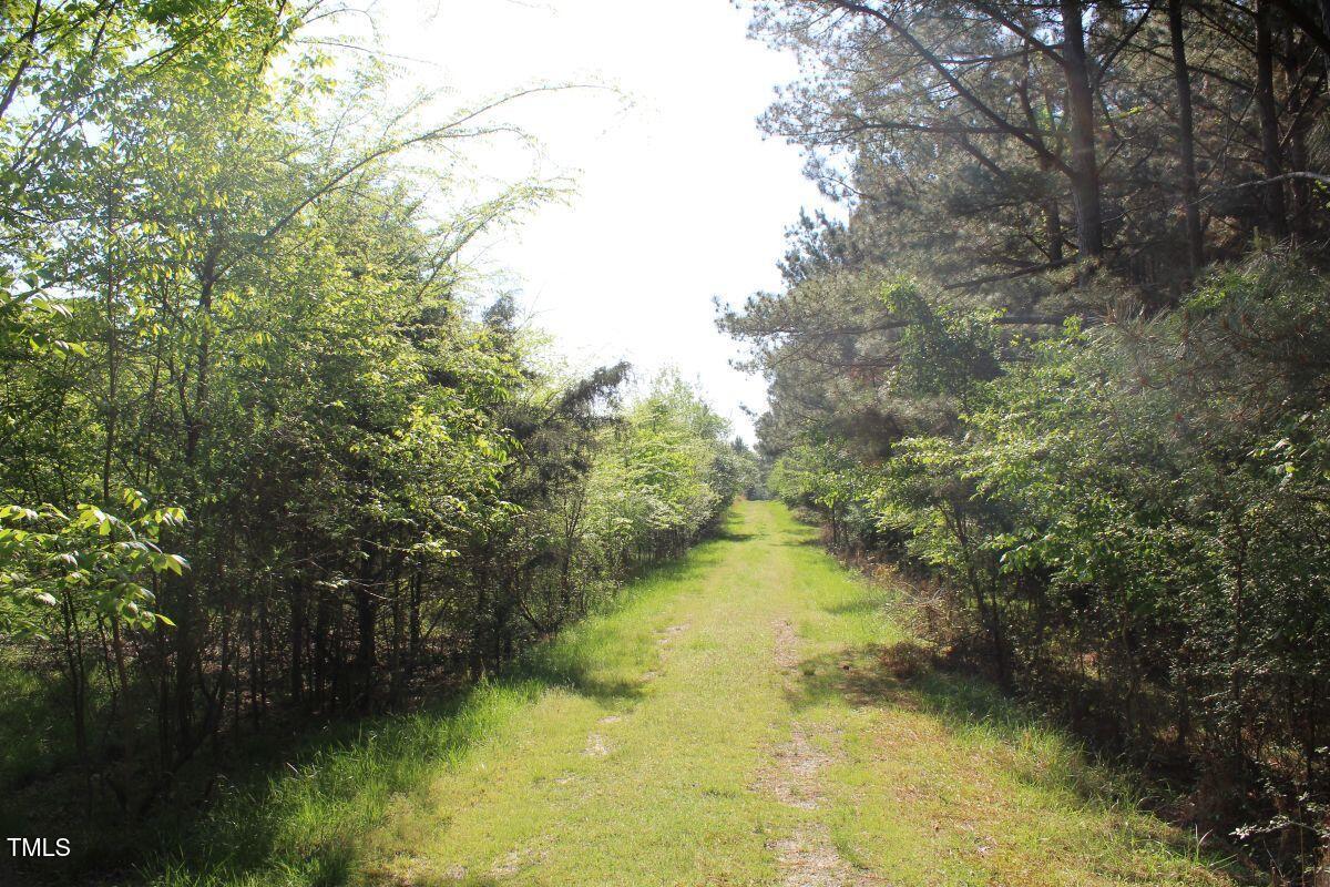 281 Fentress Road Robbins, NC 27325 - Photo 15 of 23