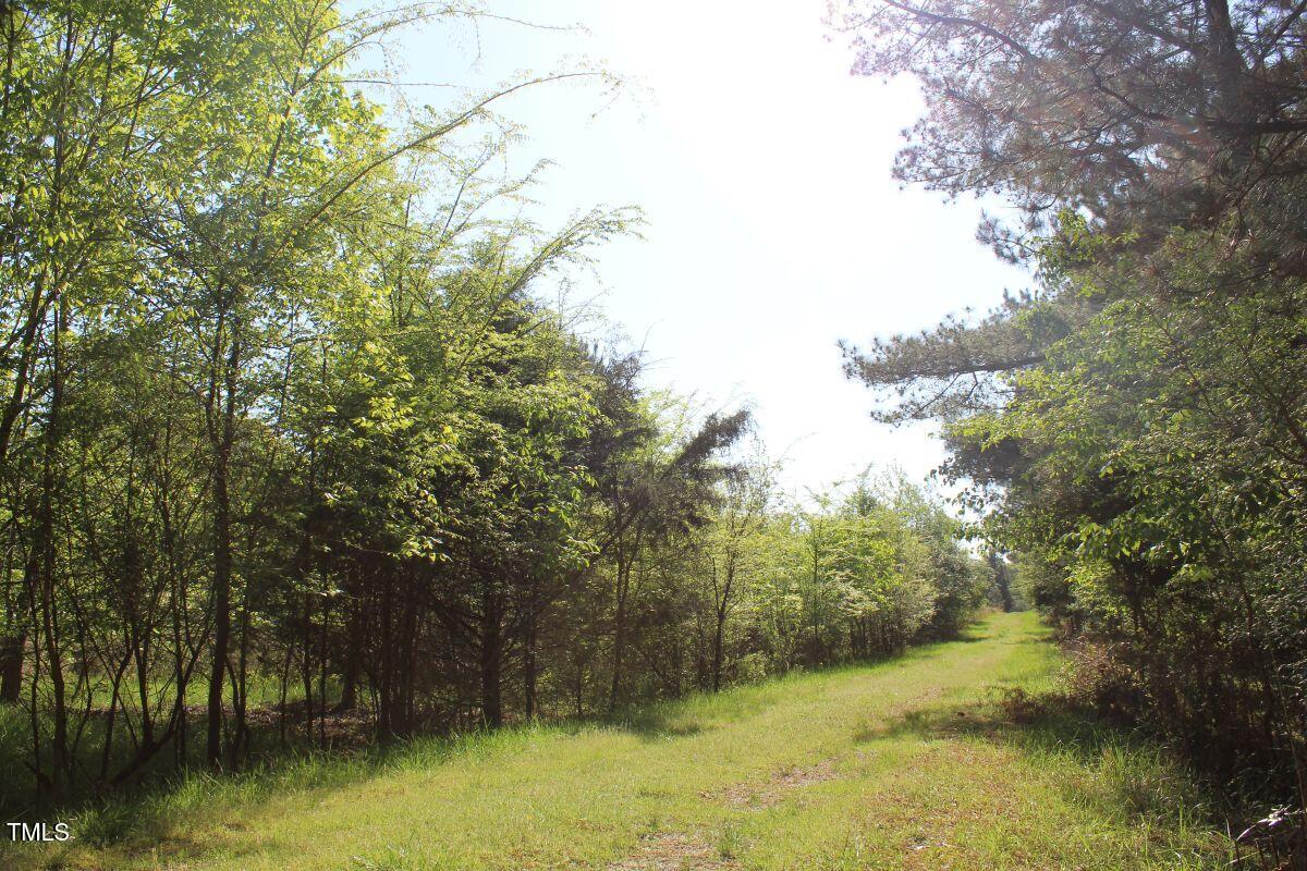 281 Fentress Road Robbins, NC 27325 - Photo 16 of 23