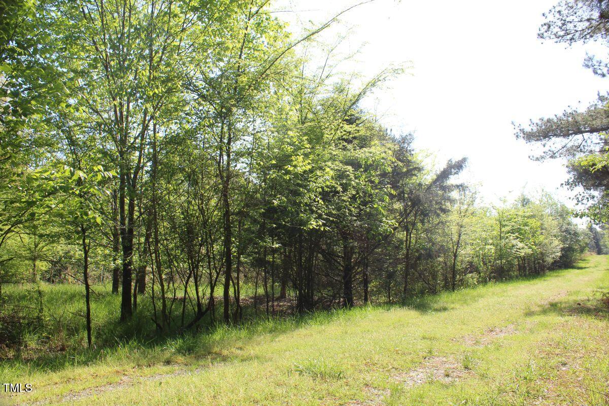 281 Fentress Road Robbins, NC 27325 - Photo 17 of 23 a backyard of a house with lots of green space