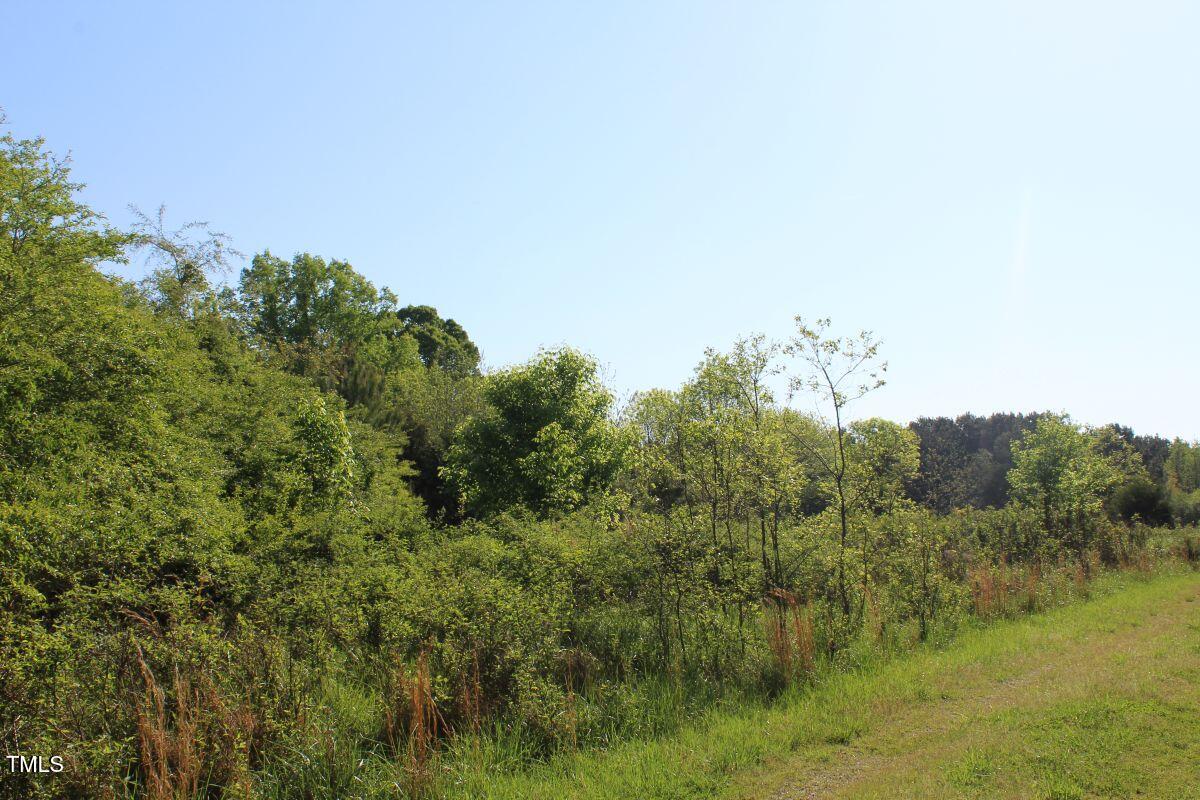 281 Fentress Road Robbins, NC 27325 - Photo 18 of 23 a view of a field of grass and trees