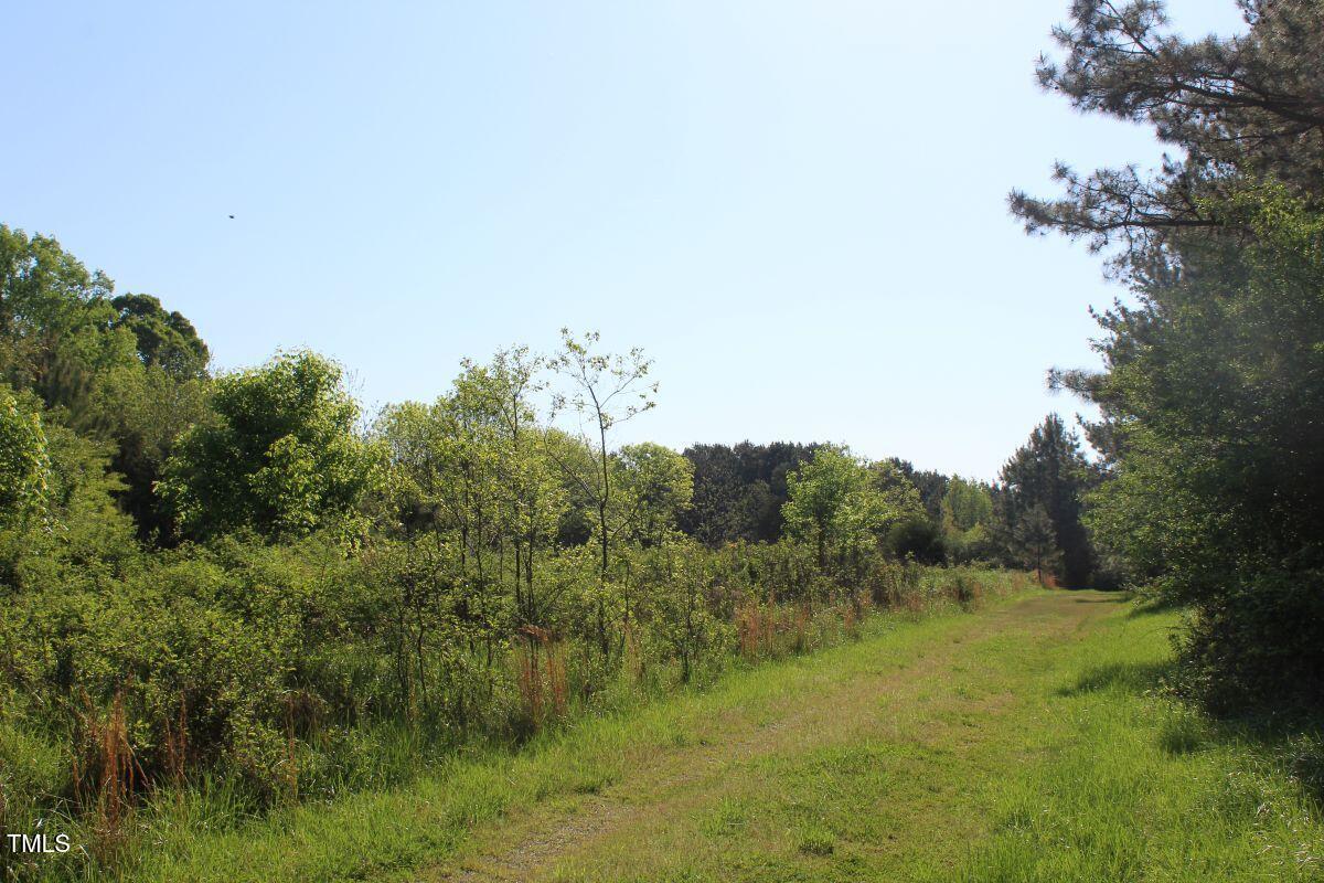 281 Fentress Road Robbins, NC 27325 - Photo 19 of 23 a view of a field of grass and trees