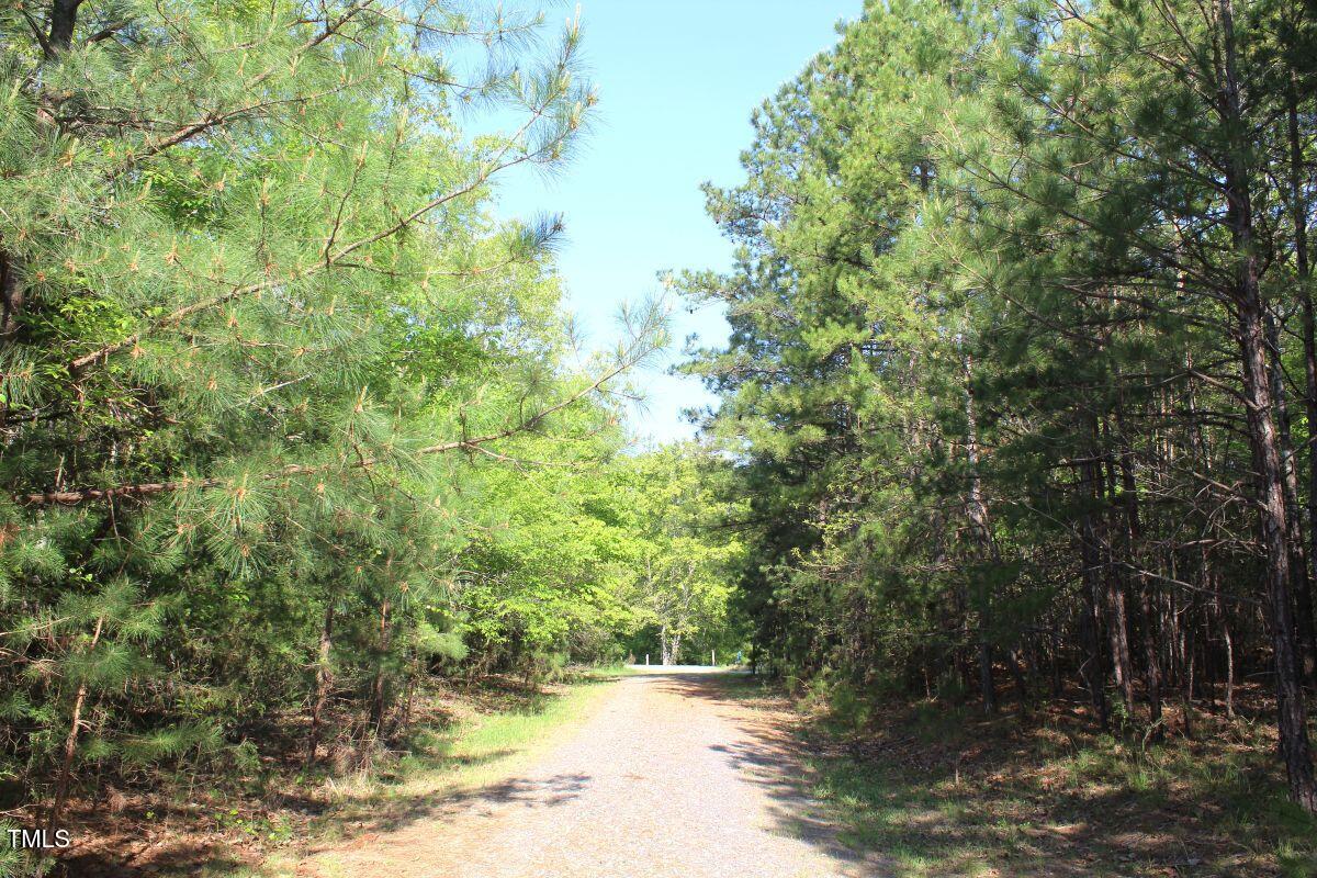 281 Fentress Road Robbins, NC 27325 - Photo 20 of 23