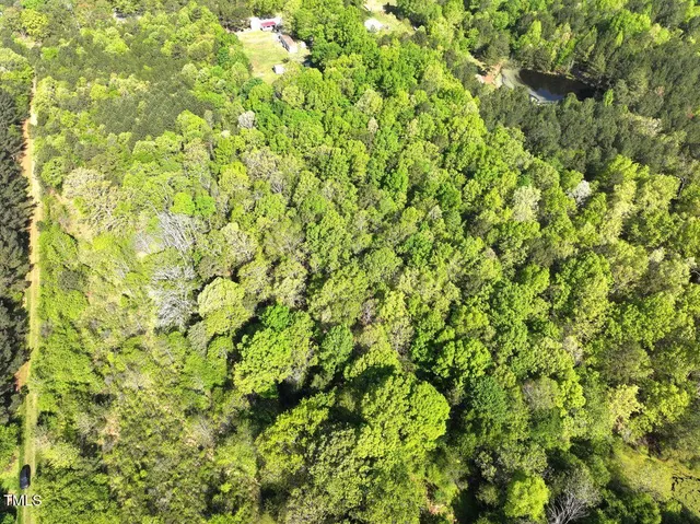 a view of city and mountain