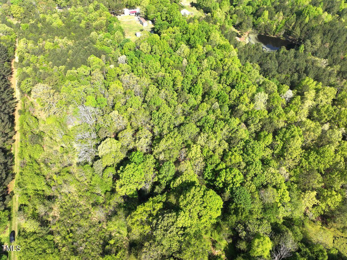 281 Fentress Road Robbins, NC 27325 - Photo 8 of 23 a view of a lush green field