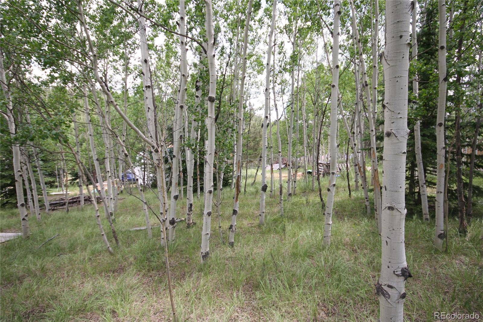300 Bartimous Road Bailey, CO 80421 - Photo 9 of 24 Gallery Image 9