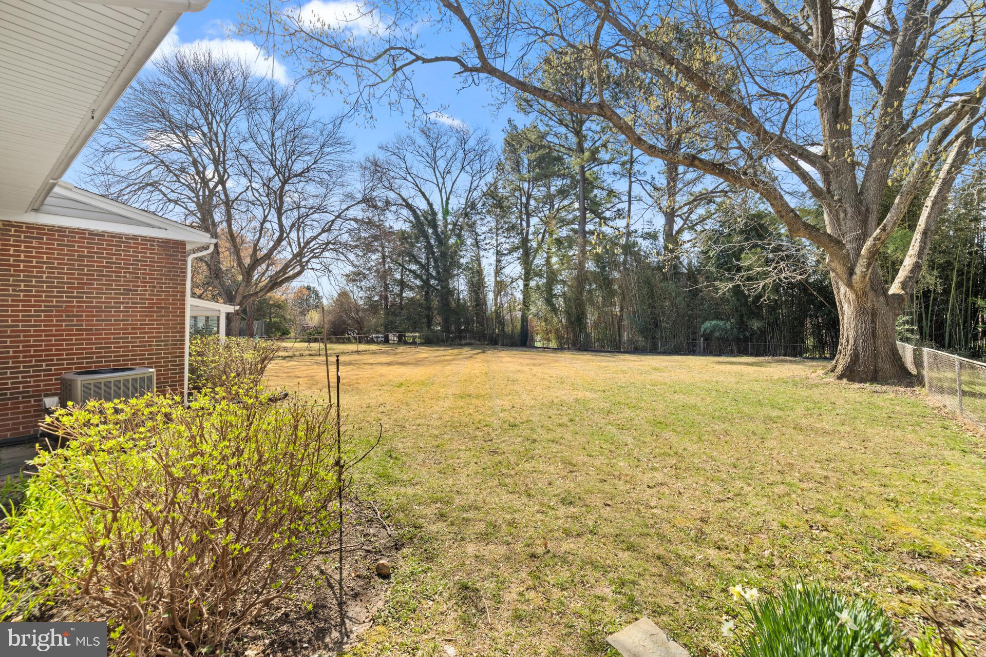 807 Winhall Way Silver Spring, MD 20904 - Photo 63 of 82 a view of swimming pool with large trees