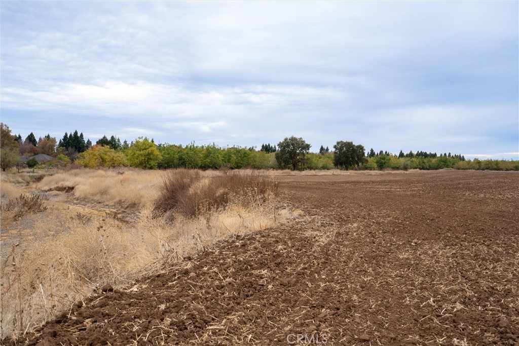 0 Garner Lane Chico, CA 95973 - Photo 11 of 17 a view of lake
