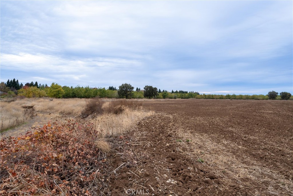 0 Garner Lane Chico, CA 95973 - Photo 10 of 17 a view of a lake with houses in the back