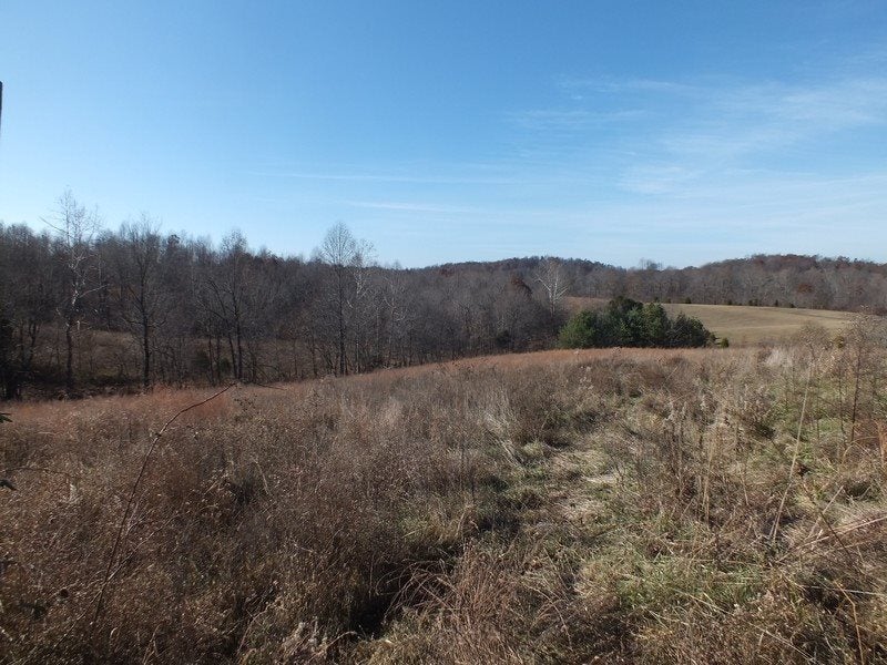 148 Turci Nevins Road Caneyville, KY 42721 - Photo 20 of 32 Gallery Image 20