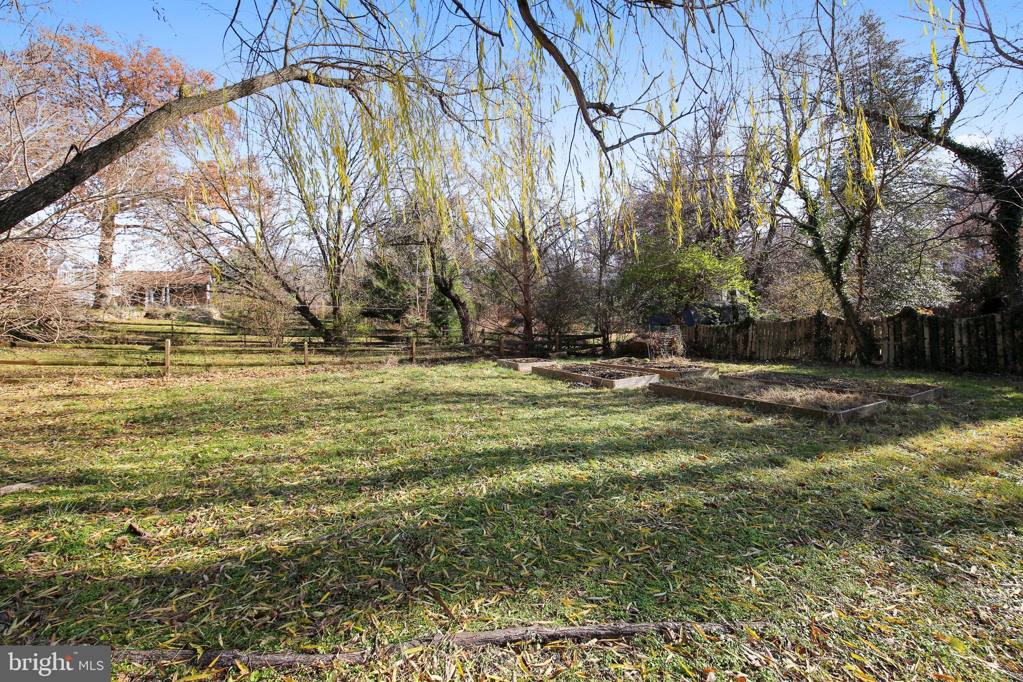 746 Thayer Avenue Silver Spring, MD 20910 - Photo 53 of 56