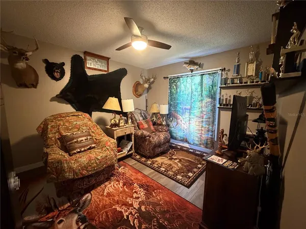 a living room with furniture rug and window