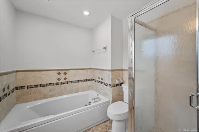 a bathroom with a bathtub and a toilet