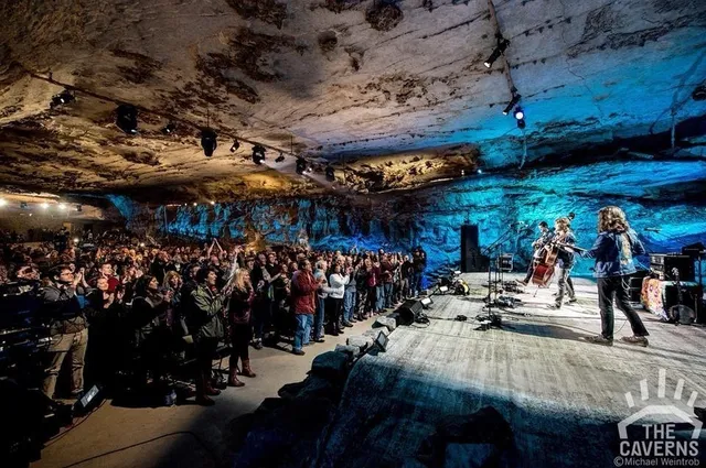 a view of a yard with plants and trees