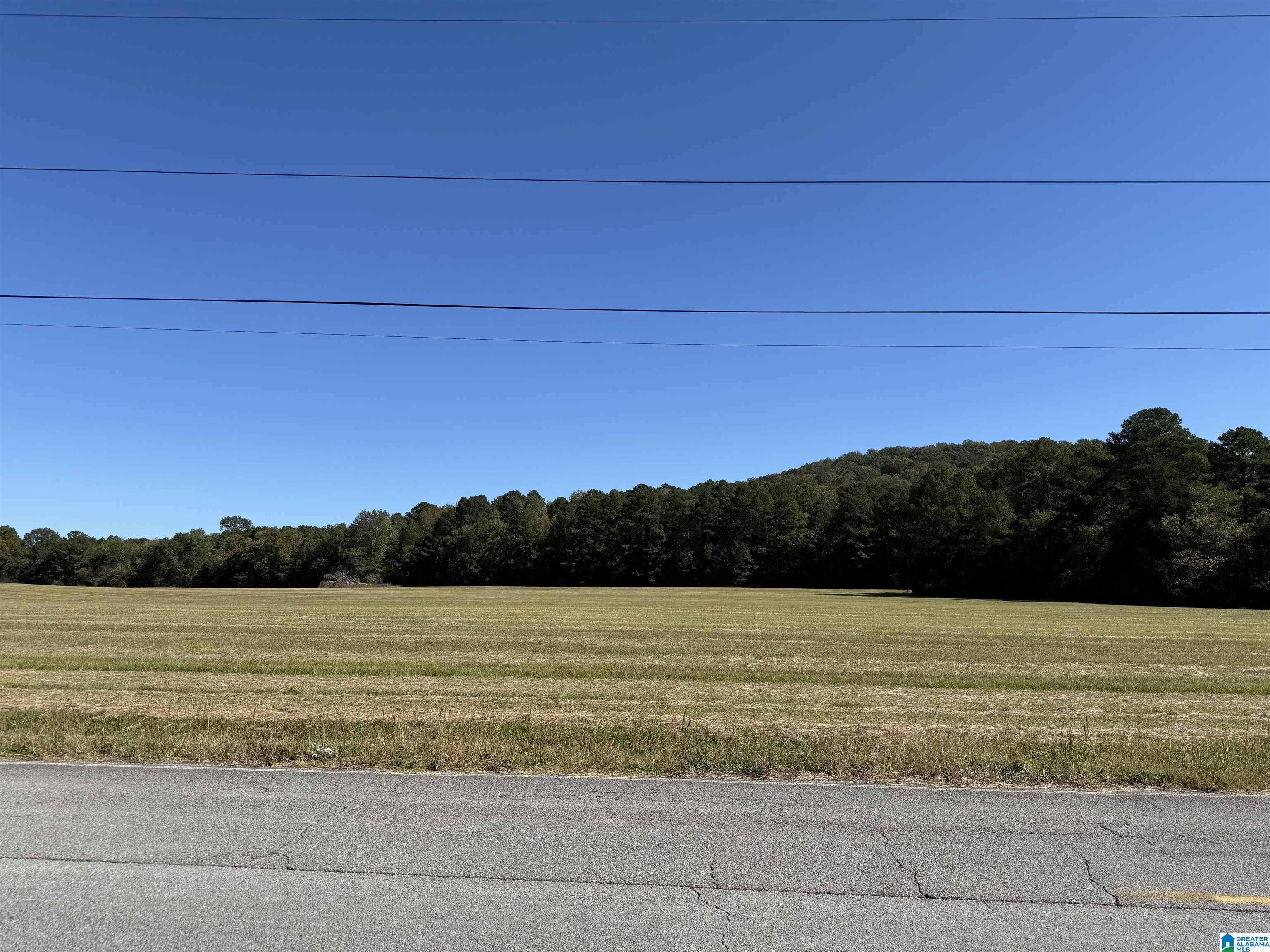 0 Old Six Mile Road, Unit 103 Somerville, AL 35670 - Photo 10 of 17