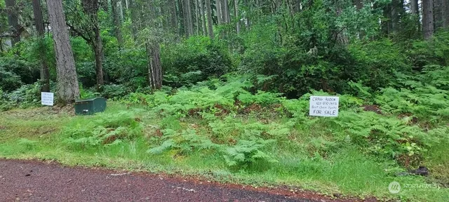 $17,000 | 12721 100th St Court, Anderson Island, WA 98303