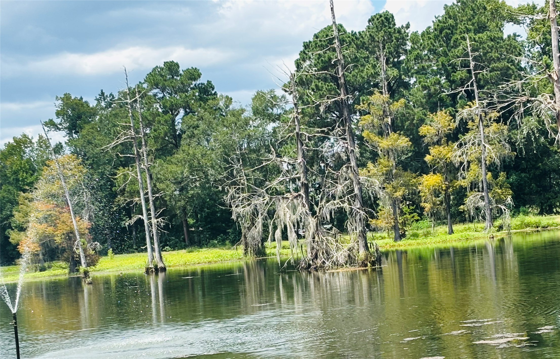 141 Walnut Loop Shepherd, TX 77371 - Photo 41 of 50 Private lake in the subdivision-