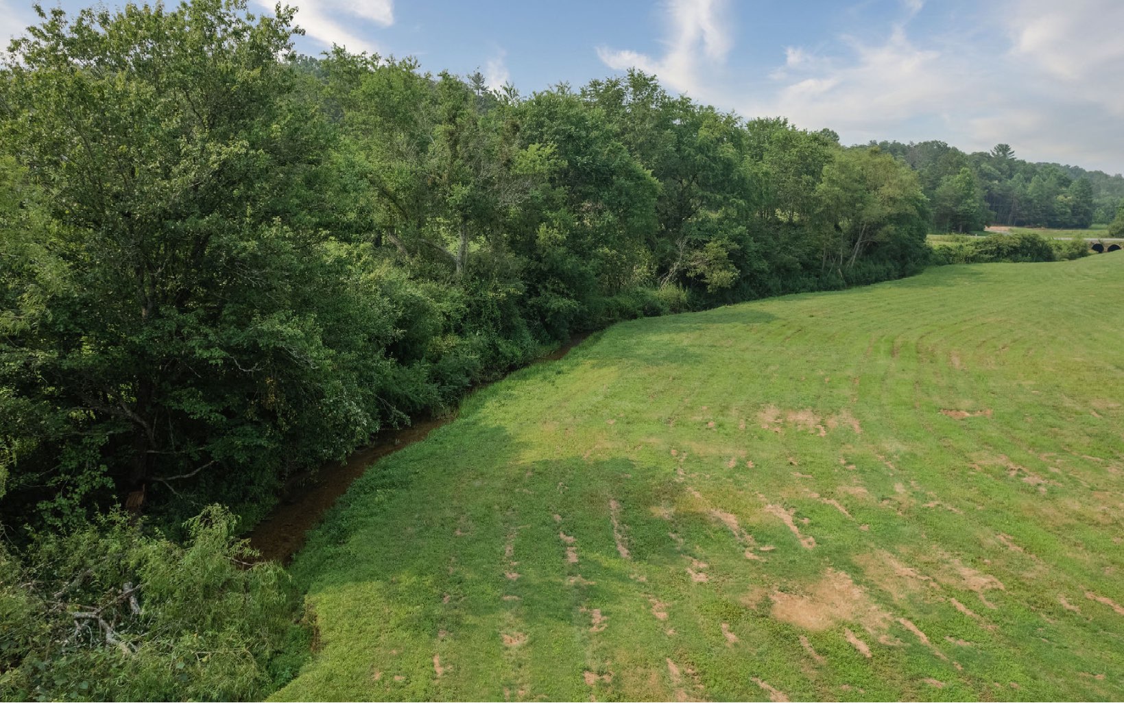 140 Watkins Farm Road Blue Ridge, GA 30513 - Photo 19 of 63 a view of a yard with a tree