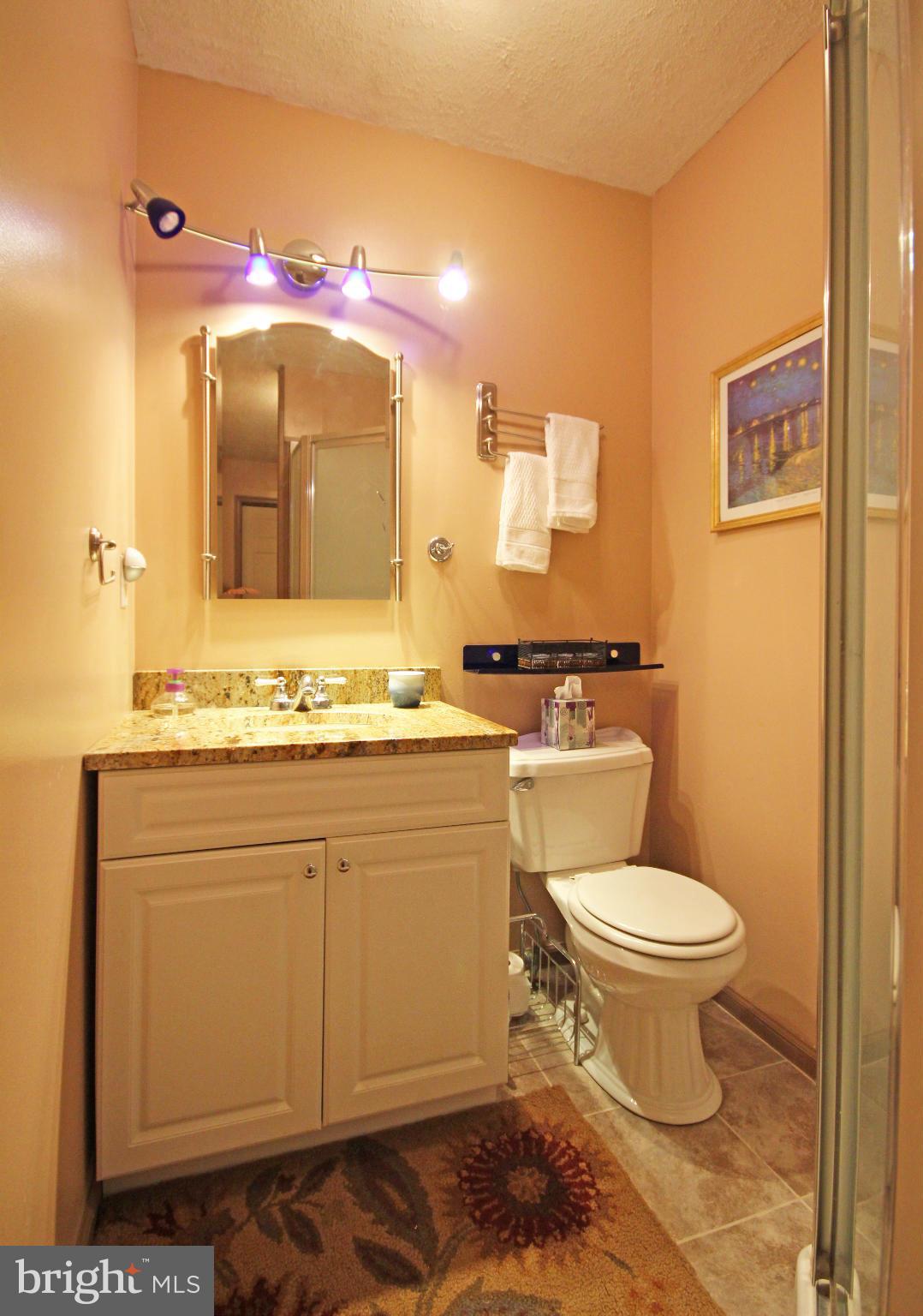 94 Papermill Road Elkton, MD 21921 - Photo 12 of 20 Bath (Master)