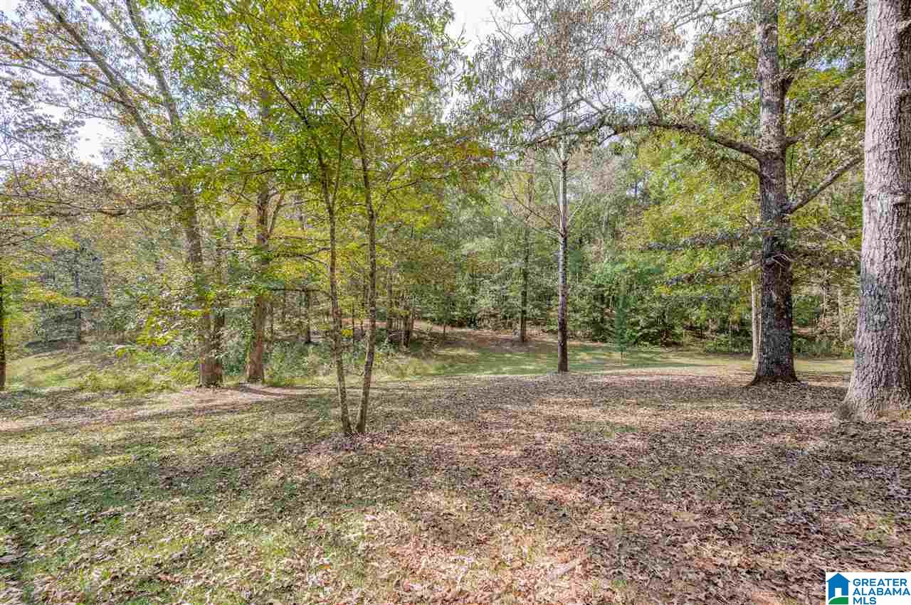 1399 Camp Winnataska Road Pell City, AL 35128 - Photo 35 of 38