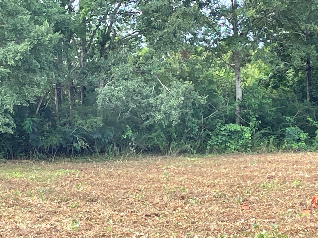 0 Iris Road Dothan, AL 36301 - Photo 10 of 12