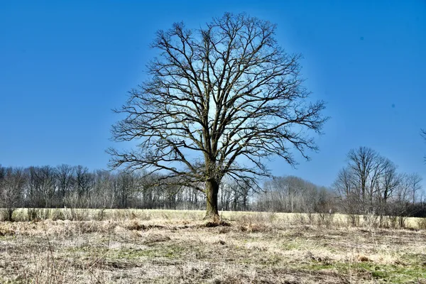 $129,900 | 19-xxx 150th Avenue, Milaca, MN 56353