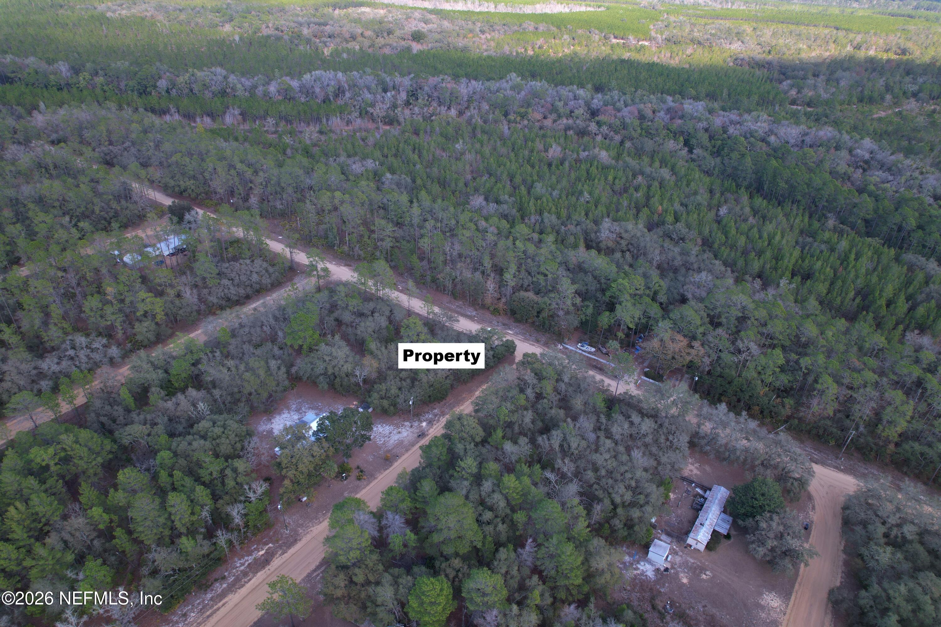 0 Banks Avenue Interlachen, FL 32148 - Photo 3 of 10 3