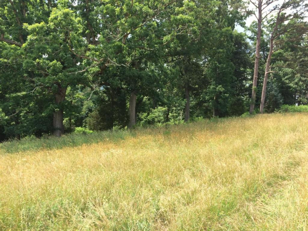 0 Greystone Road, Unit 918 Greeneville, TN 37743 - Photo 12 of 15 Photo 13