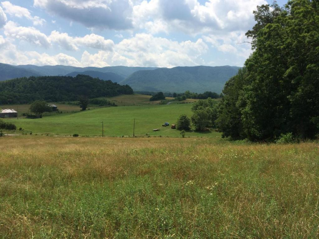 0 Greystone Road, Unit 918 Greeneville, TN 37743 - Photo 13 of 15 Photo 14