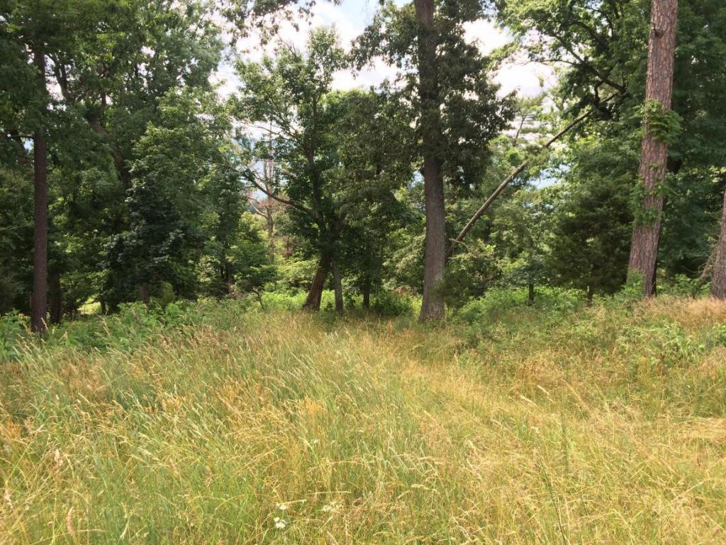 0 Greystone Road, Unit 918 Greeneville, TN 37743 - Photo 14 of 15 Photo 15
