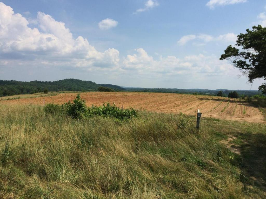 0 Greystone Road, Unit 918 Greeneville, TN 37743 - Photo 3 of 15 Photo 3